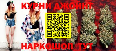спиды Новозыбков