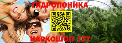 спиды Новозыбков