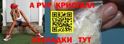 спиды Новозыбков