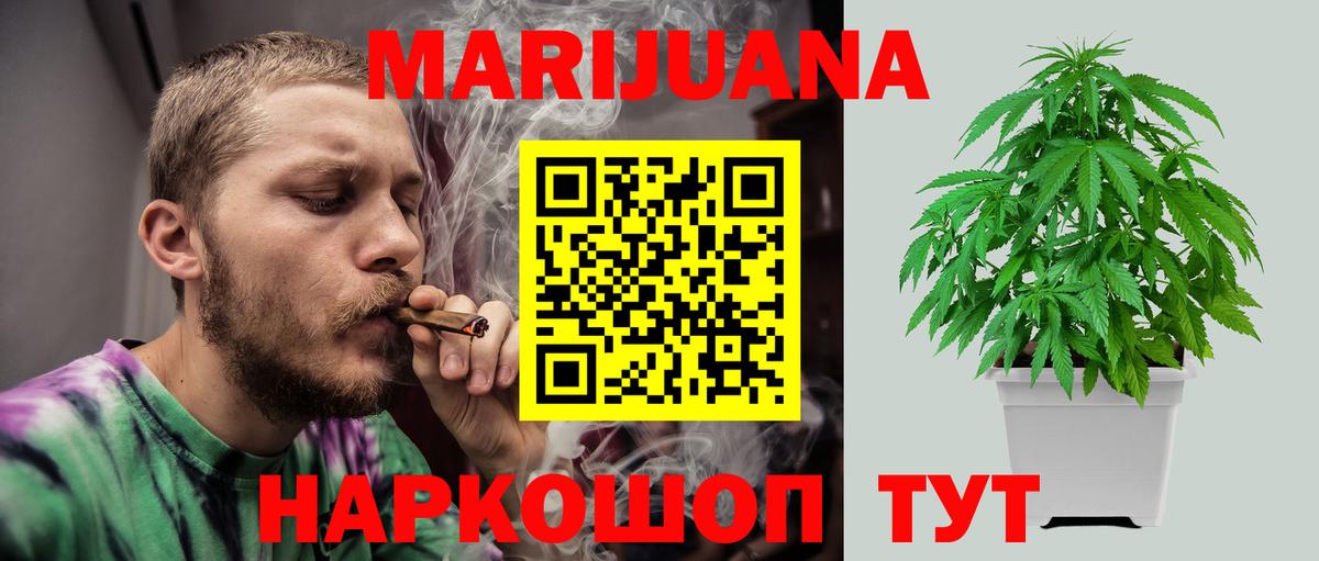 Конопля AK-47  Вход с VPN  Бошки Шишки ГИДРОПОН  Сальск  Бошки Шишки MAZAR 