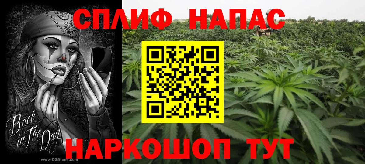 Конопля индика Сальск
